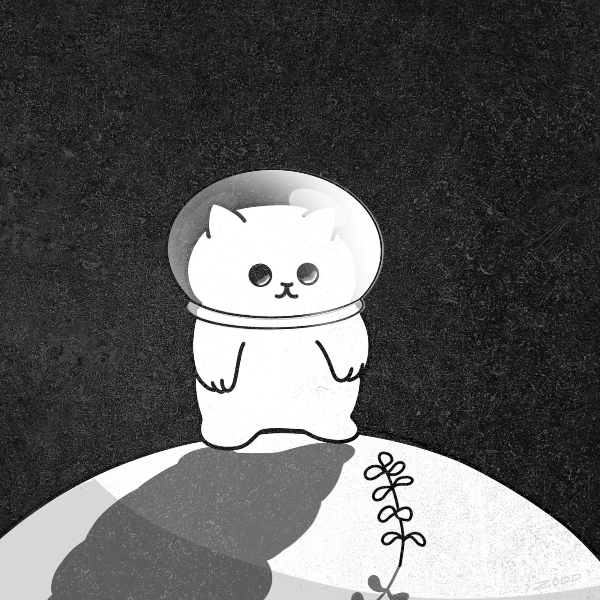 Moon Cat